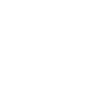 MANAGEMENT CONSULTING SERVICES